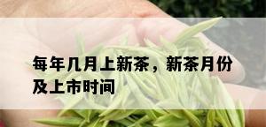 每年几月上新茶，新茶月份及上市时间