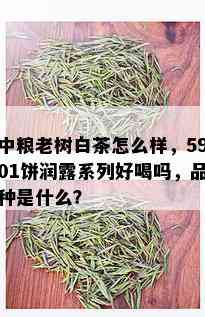 中粮老树白茶怎么样，5901饼润露系列好喝吗，品种是什么？