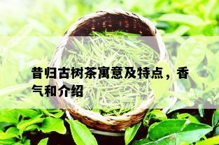 昔归古树茶寓意及特点，香气和介绍