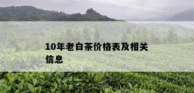 10年老白茶价格表及相关信息