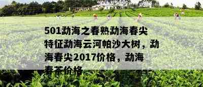 501勐海之春熟勐海春尖特征勐海云河帕沙大树，勐海春尖2017价格，勐海春茶价格