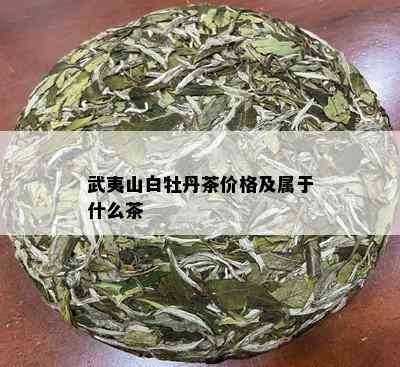 武夷山白牡丹茶价格及属于什么茶