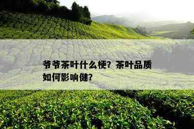 爷爷茶叶什么梗？茶叶品质如何影响健？