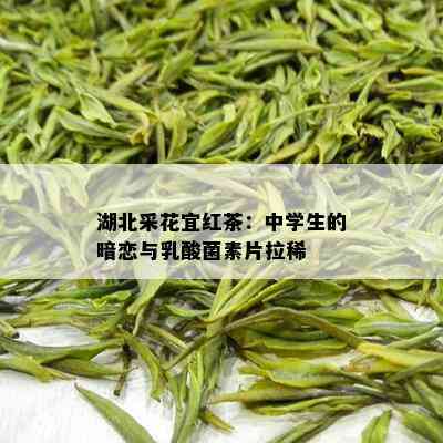 湖北采花宜红茶：中学生的暗恋与乳酸菌素片拉稀