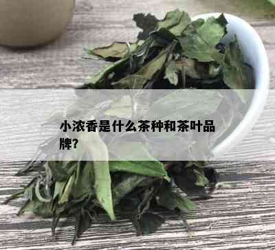 小浓香是什么茶种和茶叶品牌？