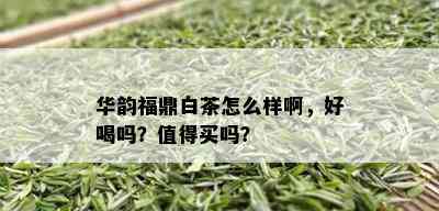 华韵福鼎白茶怎么样啊，好喝吗？值得买吗？