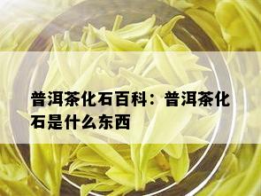 普洱茶化石百科：普洱茶化石是什么东西