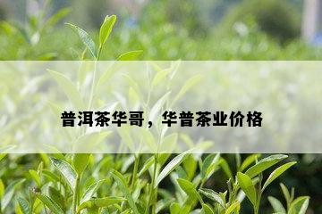 普洱茶华哥，华普茶业价格