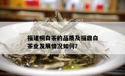 福建桐白茶的品质及福鼎白茶业发展情况如何？