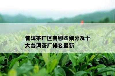 普洱茶厂区有哪些细分及十大普洱茶厂排名最新