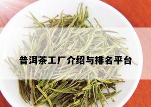 普洱茶工厂介绍与排名平台