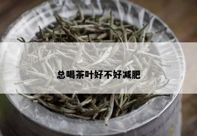 总喝茶叶好不好减肥