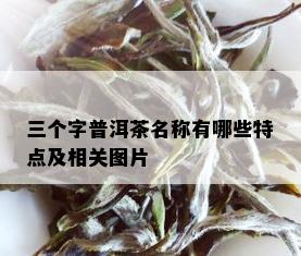 三个字普洱茶名称有哪些特点及相关图片