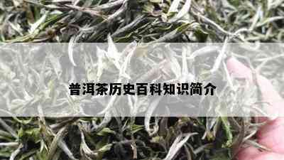 普洱茶历史百科知识简介