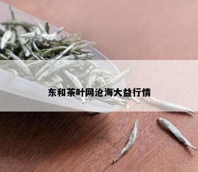 东和茶叶网沧海大益行情