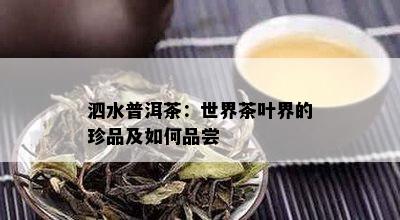 泗水普洱茶：世界茶叶界的珍品及如何品尝