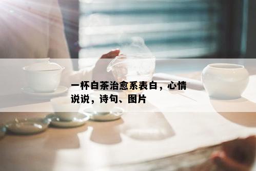 一杯白茶治愈系表白，心情说说，诗句、图片