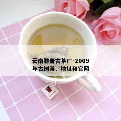 云南雅普古茶厂-2009年古树茶、地址和官网