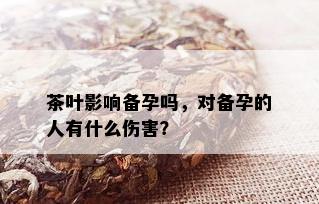 茶叶影响备孕吗，对备孕的人有什么伤害？