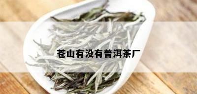 苍山有没有普洱茶厂