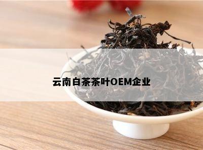 云南白茶茶叶OEM企业