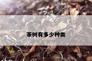 茶树有多少种类