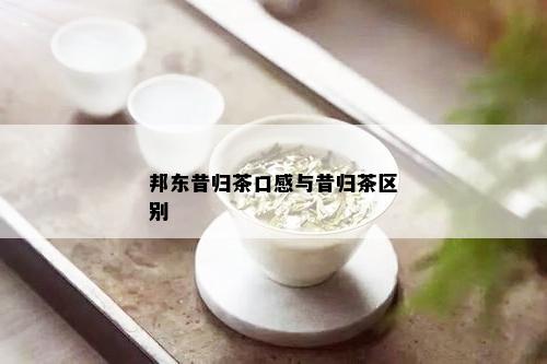 邦东昔归茶口感与昔归茶区别