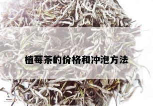 植莓茶的价格和冲泡方法