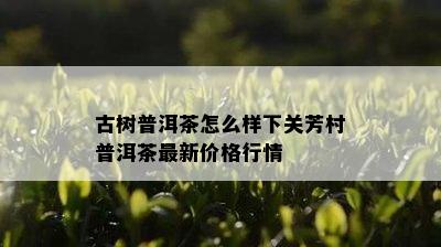 古树普洱茶怎么样下关芳村普洱茶最新价格行情