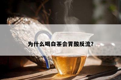 为什么喝白茶会胃酸反流？