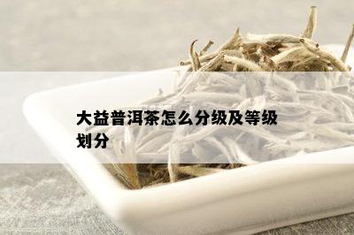 大益普洱茶怎么分级及等级划分