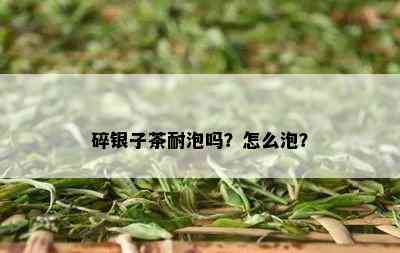 碎银子茶耐泡吗？怎么泡？