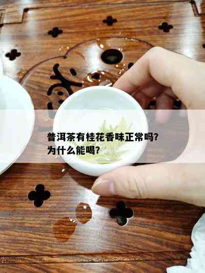 普洱茶有桂花香味正常吗？为什么能喝？