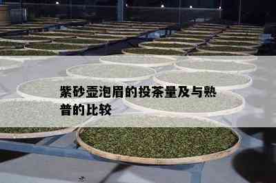 紫砂壶泡眉的投茶量及与熟普的比较