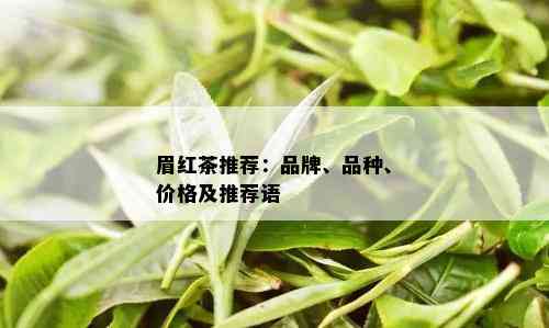 眉红茶推荐：品牌、品种、价格及推荐语