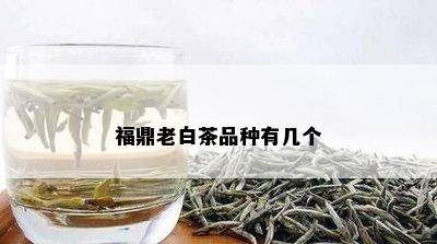 福鼎老白茶品种有几个