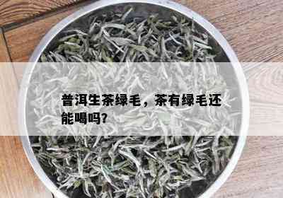 普洱生茶绿毛，茶有绿毛还能喝吗？