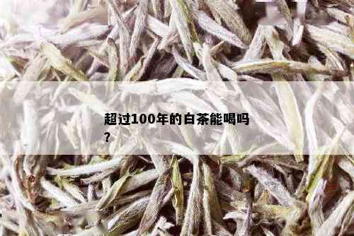 超过100年的白茶能喝吗？