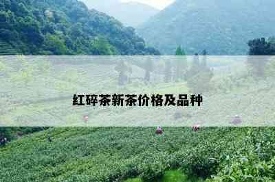 红碎茶新茶价格及品种