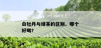 白牡丹与绿茶的区别、哪个好喝？