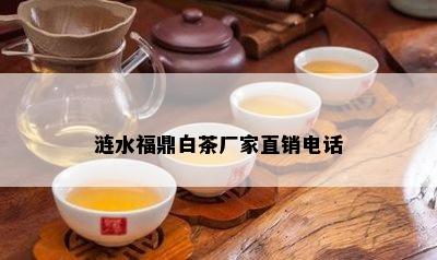 涟水福鼎白茶厂家直销电话