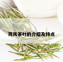 荷风茶叶的介绍及特点