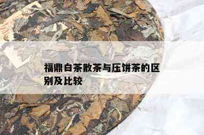 福鼎白茶散茶与压饼茶的区别及比较