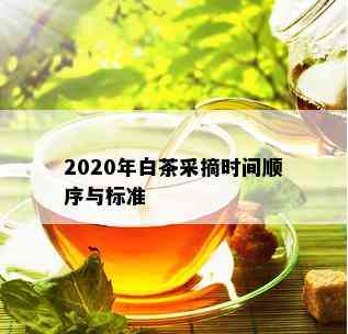 2020年白茶采摘时间顺序与标准