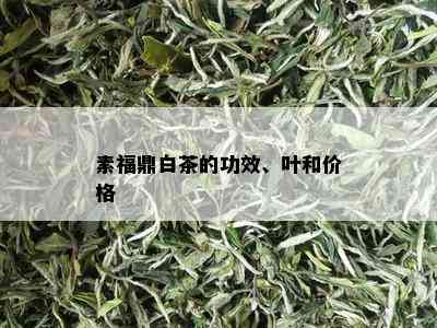 素福鼎白茶的功效、叶和价格