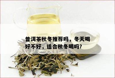 普洱茶秋冬推荐吗，冬天喝好不好，适合秋冬喝吗？