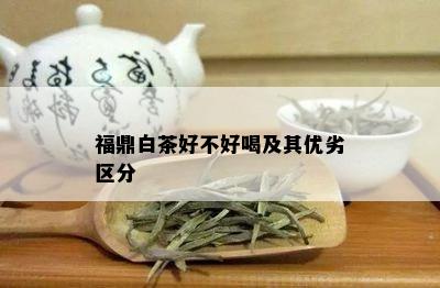 福鼎白茶好不好喝及其优劣区分