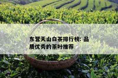 东营天山白茶排行榜: 品质优秀的茶叶推荐