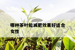 哪种茶叶能减肥效果好适合女性