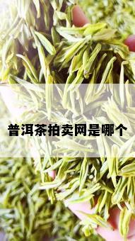 普洱茶拍卖网是哪个